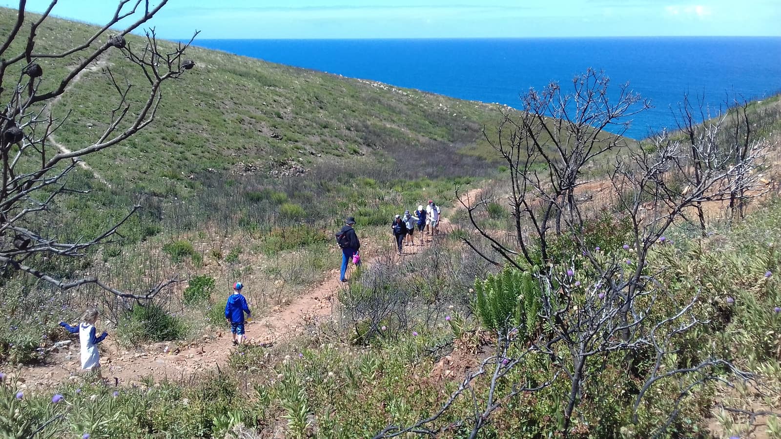 Small group hiking a coastal trail with the Atlantic behind