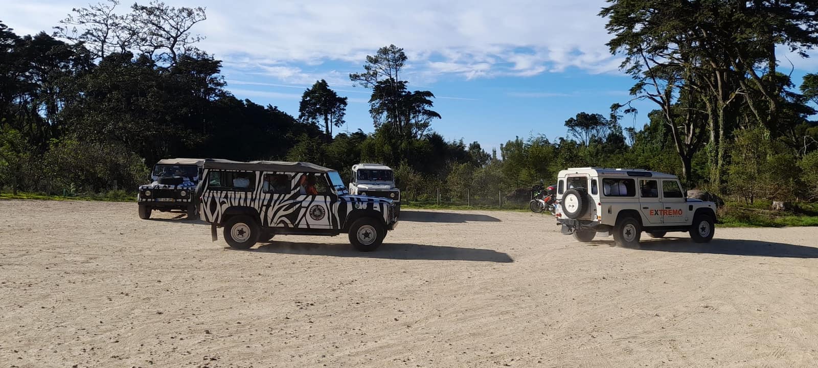 Fleet of Land Rover Defenders — including the zebra-print safari — on a Sintra staging area